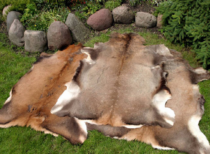 Гарбарны завод скура авечая вытворца авечых шкур icelandic дыван Польша